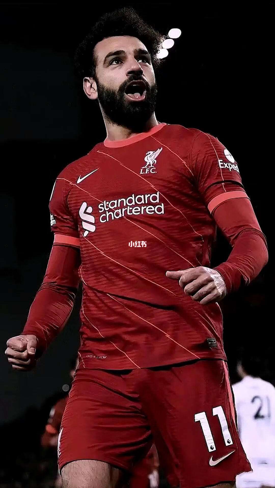 包含萨拉赫迎来十赛季高光表现，G2球迷沸腾！的词条